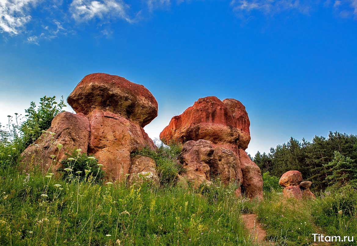 Красные каменные грибы Кисловодск