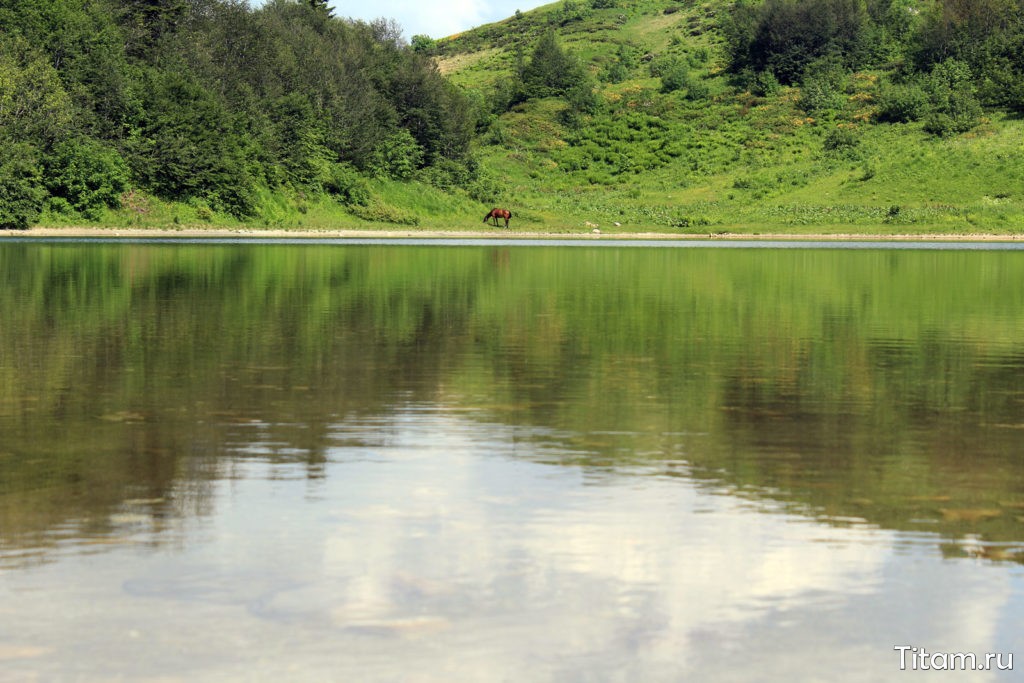Лошадь на озере Хуко
