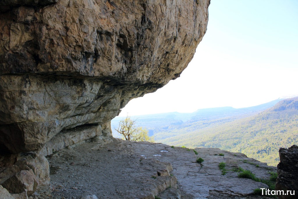 Орлиная полка краснодарский край фото