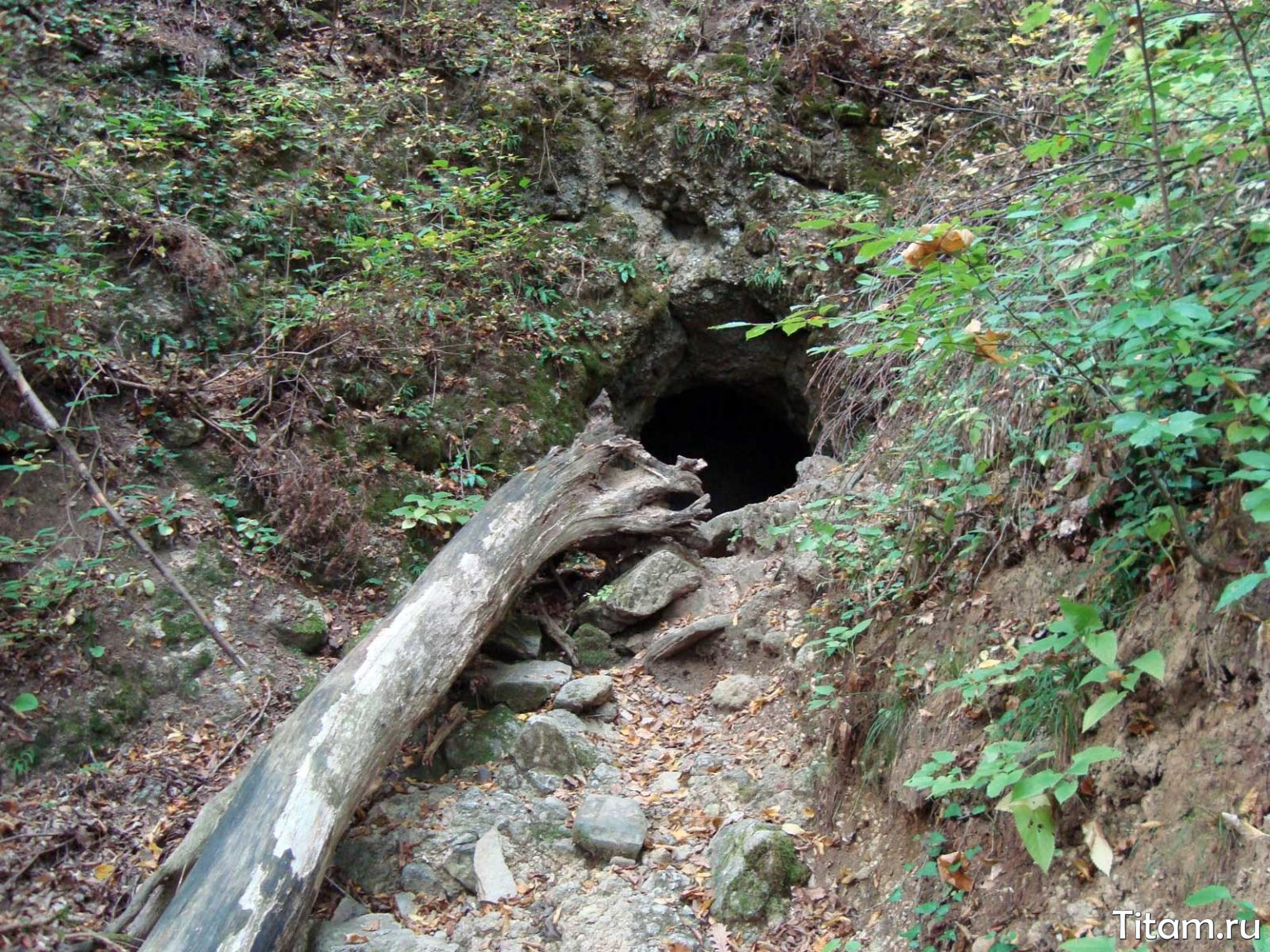 Фанагорийской пещере на Кавказе