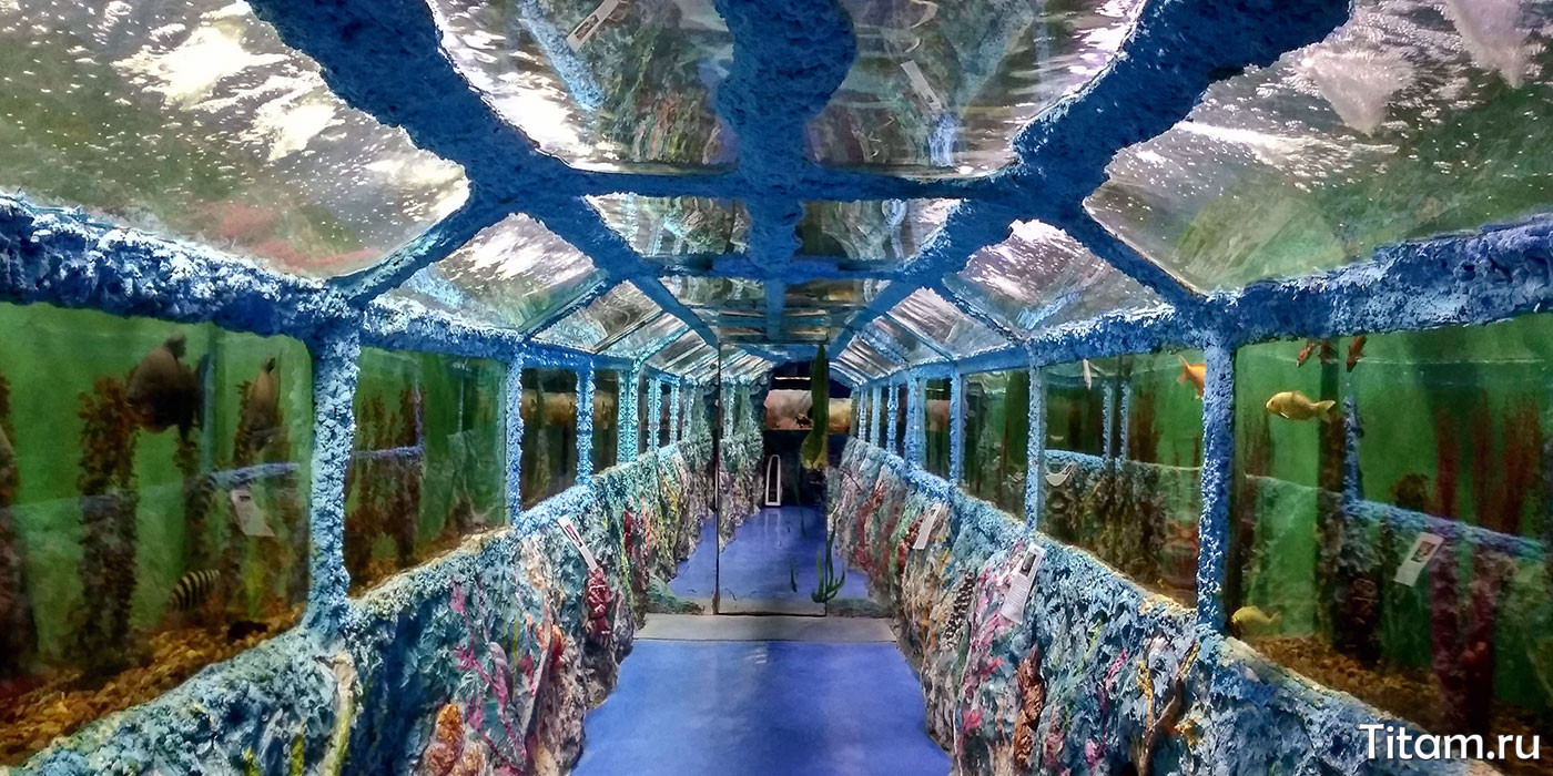 Геленджикский океанариум