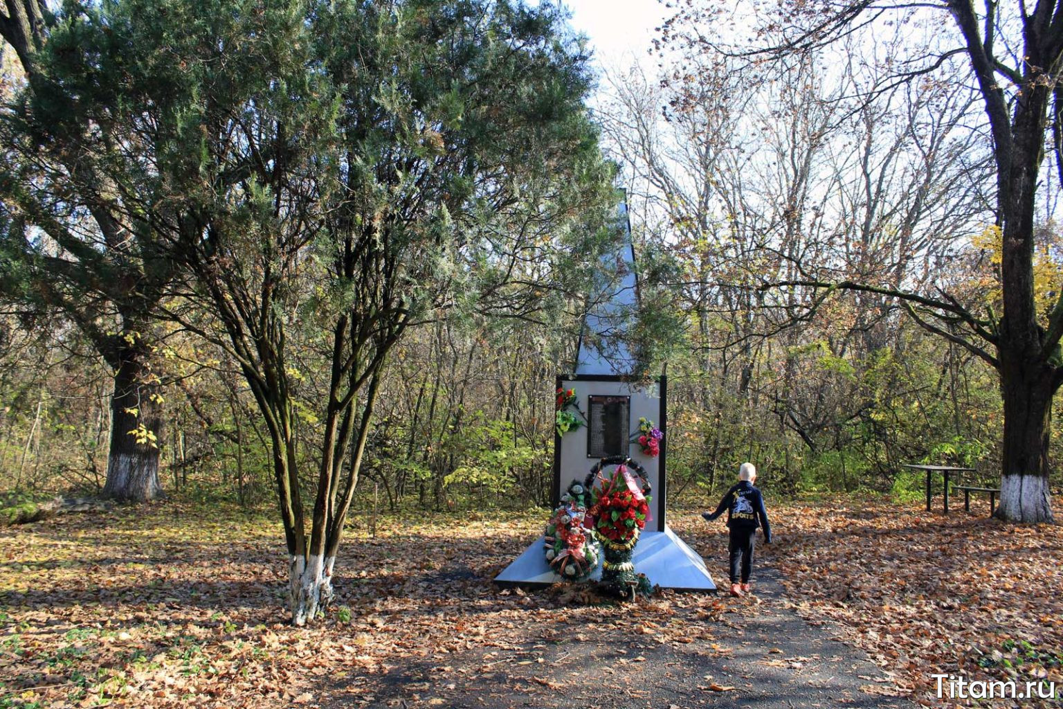 Памятник погибшим в Челбасском лесу х. веселый Каневского района