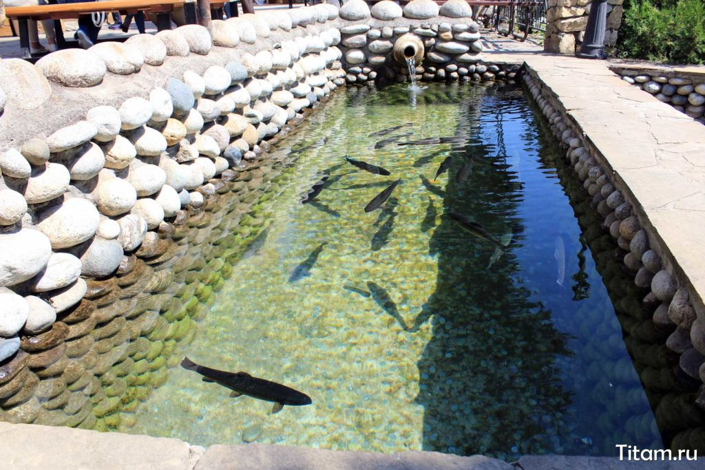 Рыба на Медовых водопадах