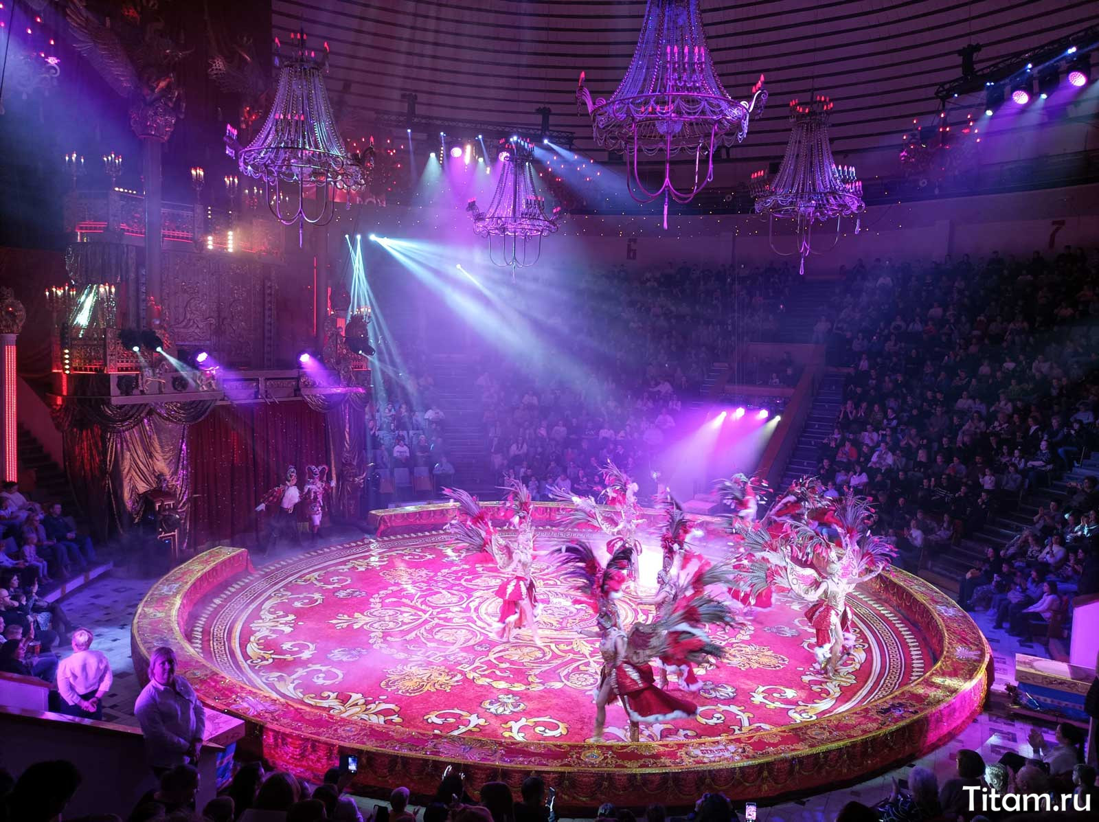 Королевский цирк Гии Эрадзе на манеже Краснодарского цирка