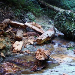 Каверзинские водопады