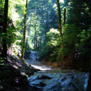 Каверзинские водопады