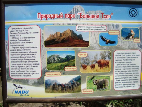 Тхач Тайвань Тхач Тайвань