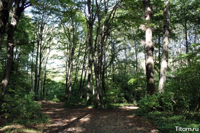 Тропа на Богатырские пещеры Тропа на Богатырские пещеры
