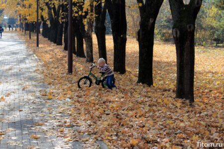 Ботанический сад Краснодара. Осень