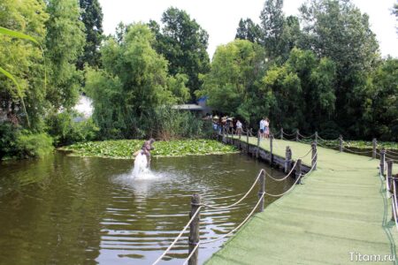 Сафари парк Краснодар
