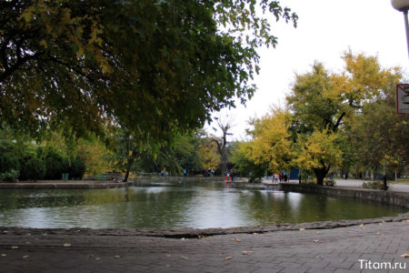 Пруд в Городском саду