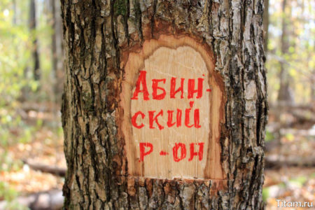 Абинский район Абинский район