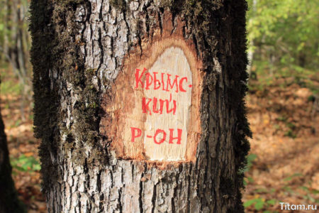 Крымский район Крымский район