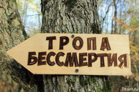 Указатель Указатель