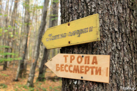 Указатели Указатели