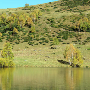Озеро Белкау-Кёль в Архызе Озеро Белкау-Кёль в Архызе