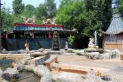 Китайский дворик. Сафари-парк Краснодар